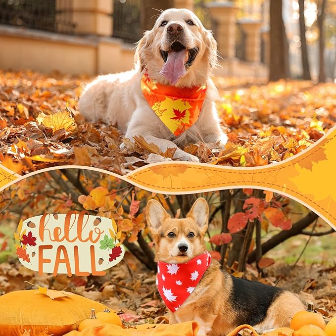 Preboun 200 Pcs Fall Pumpkin Dog Bandanas Bulk Maple Leaves Bandanas for Dogs Pets Triangle Kerchief Bibs Scarf for Thanksgiving Costume Photo Props Accessories Pet Shops Adoption Events, 25 Styles