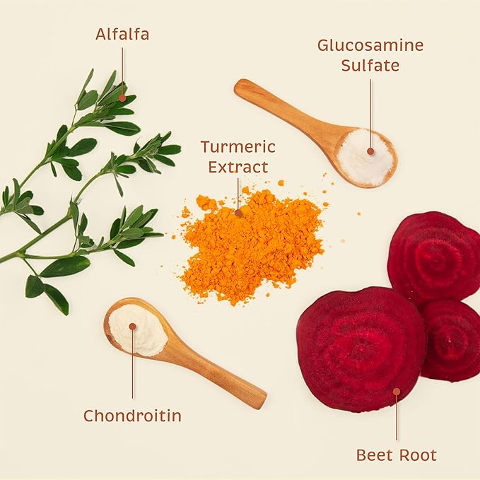 Joint and Mobility for Dogs - Joint Support Supplement for Dogs - Antioxidant Supplement with Vitamin C & E - Dog Supplement with Glucosamine & Chondroitin - 100 Chewable Wafers