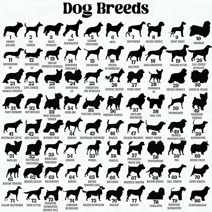 Custom Dog Memorial Gift Suncatcher, Engraved Pet Memorial Ornament, Pet Sympathy Keychain, Loss of Animal Sympathy Card, Rainbow Bridge Dog Loss Gift, Bereavement Suncatcher Window Hanging