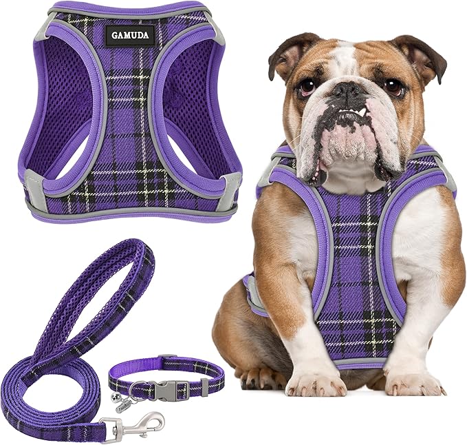 GAMUDA Small Dog Harness Collar and Leash Set, Step in No Chock No Pull Soft Mesh Adjustable Dog Vest Harnesses Plaid Reflective for Dogs Puppy Cats Kitten Rabbit (Purple, L)