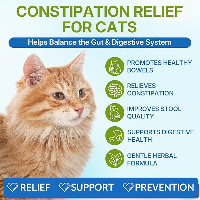 Cat Constipation Relief, Constipation Relief for Cats, Cat Constipation Support, Promotes Digestive Health, Chicken Flavor Natural Herbal Supplement, 60 ml/2 Fl Oz
