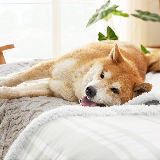 Bedsure Waterproof Dog Blankets for Large Dogs - Pet Blanket for Couch Protector Washable, Jacquard Coral Fleece Cat Throw Blanket, Soft Plush Reversible Furniture Protection, 40"x50", Pale Oak