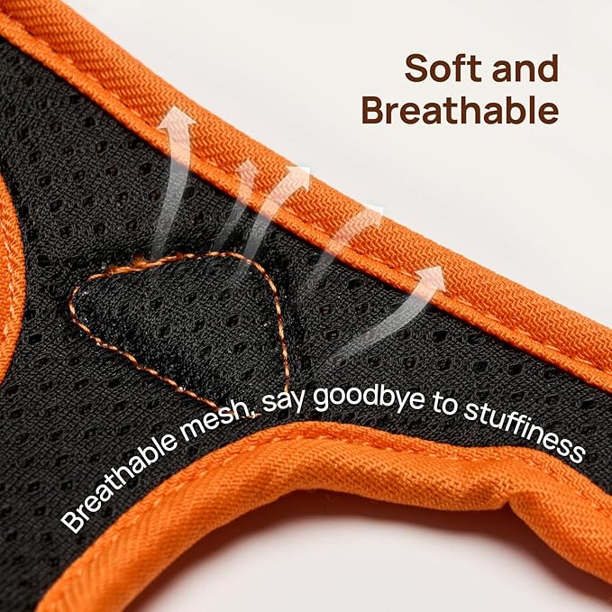 Cat Harness and Leash Set, Step-in Escape Proof Adjustable Vest Harness for Small Medium Large Cats, Lightweight Soft Breathable Reflective Kitten Harness, Easy to Wear for Walking Travel, Camping, S