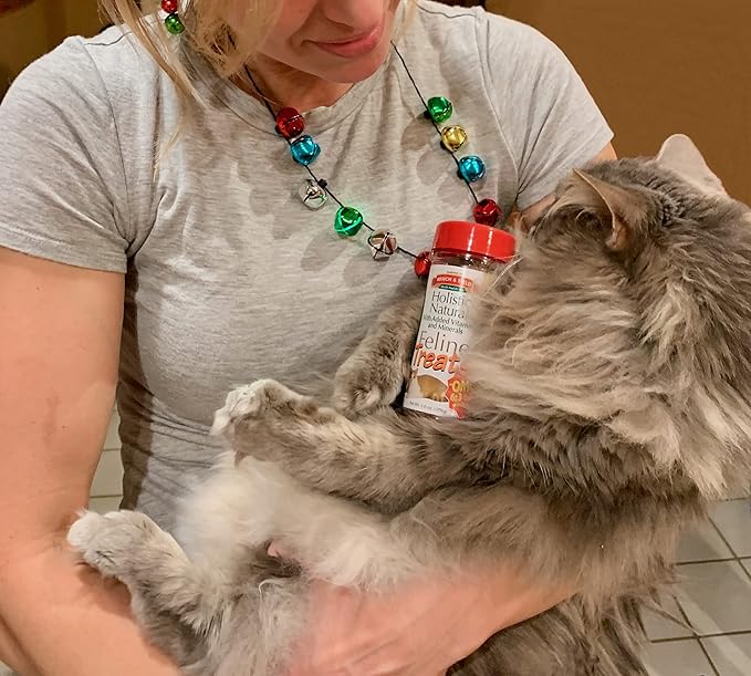 Bench & Field Holistic Natural Healthy Kitty Cat Treats | Crunchy Fish-Shaped Bites | Delicious Seafood Flavored Snack, 3-Ounce (Pack of 6 Bottles)