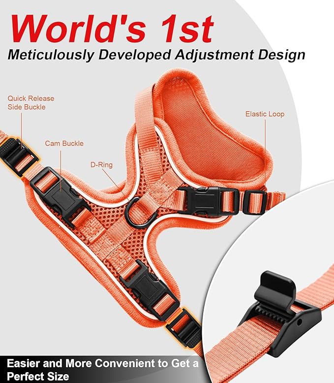 Cat Harness and Leash for Walking Escape Proof Soft Adjustable Cat Leash Breathable Comfortable Vest Easy to Wear Kitten Harness for Outdoor Travel Orange M