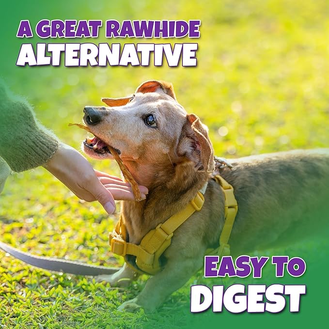 Turkey Tendon Strips Made in USA with 100% Turkey and No Glycerin, Healthy Jerky Dog Treats for Medium and Small Dogs, Human Grade Tendons for Dogs, 12 oz Bag