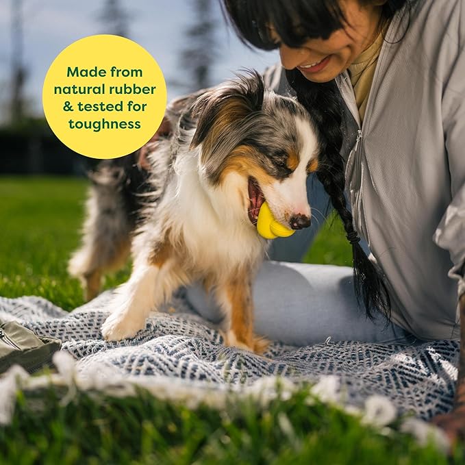 Earth Rated Dog Ball, Interactive Fetch Toy for All Breeds, Comes in Multiple Sizes, Made with Natural Rubber, Perfect for Indoor and Outdoor Use, Small, Yellow