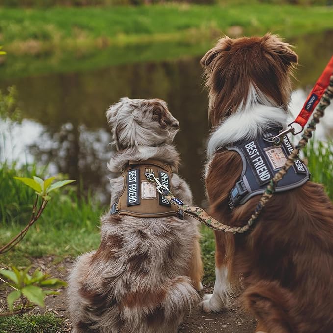 AUROTH Tactical Dog Harness for Small Medium Dogs No Pull Adjustable Pet Harness Reflective K9 Working Training Easy Control Pet Vest Military Service Dog Harnesses Desert Camo M