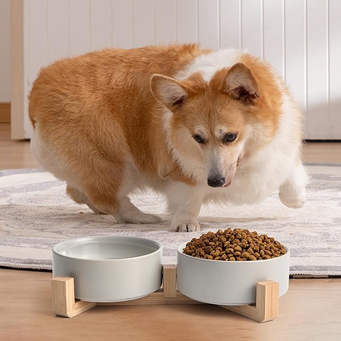 Grey Ceramic Dog & Cat Bowl Set – 13.5 OZ with Wooden Stand, Non-Slip, Elevated Design for Small Dogs & Cats – 2 Bowls (Food & Water, Ceramic Pet Bowls, Modern Dog Bowls)