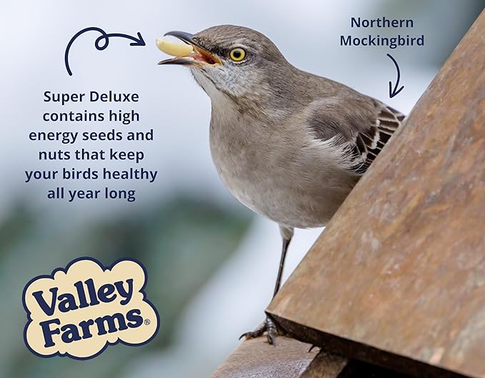 Valley Farms Super Deluxe Wild Bird Food (15 LB) for Outside feeders - 0% fillers - Loads of Sunflower Seed - w/Peanut kernels -Feed More Birds w/Less Seed