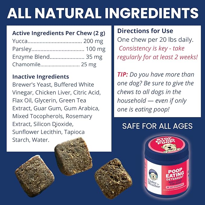 Under the Weather Pet No Poo Chews for Dogs | Vet Formulated Poop Eating Deterrent for Dogs | Canine Daily Chews to Help Stop Eating Poop | Coprophagia Support Supplement for Pups | 60 Count