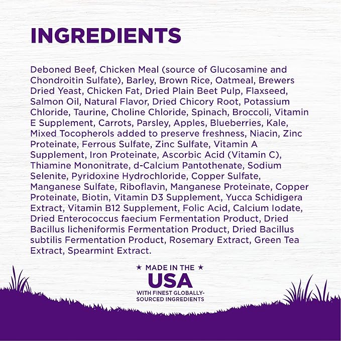 Wellness Complete Health Dry Dog Food, Wholesome Grains, Natural, Beef & Barley Recipe, (5-Poud Bag)