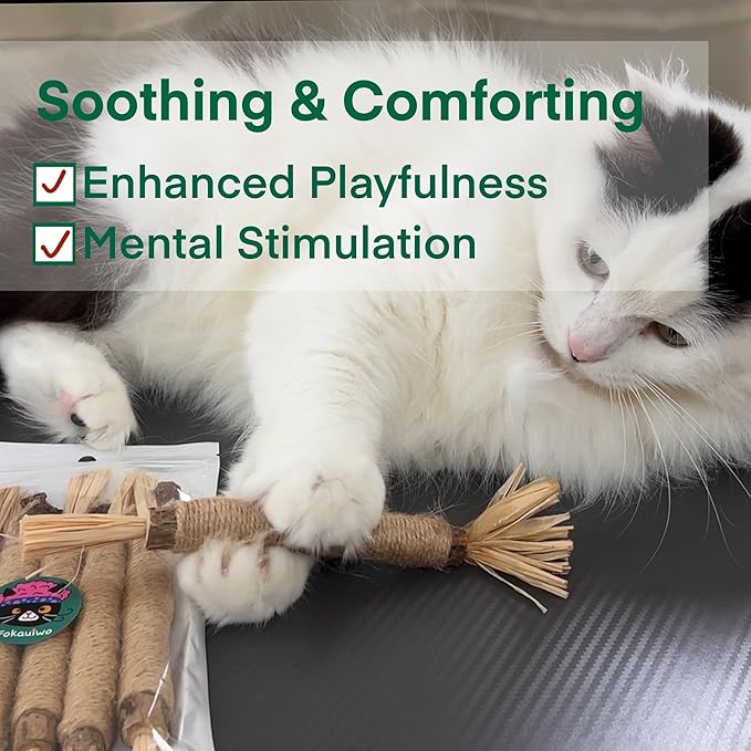 8.66 inches Silvervine Sticks Cat Toys, Natural Catnip Kittens Chew Toy for Teeth Cleaning,Big Catmint Blend Stick, Dental Kitty Chews for Indoor(5 Pack)