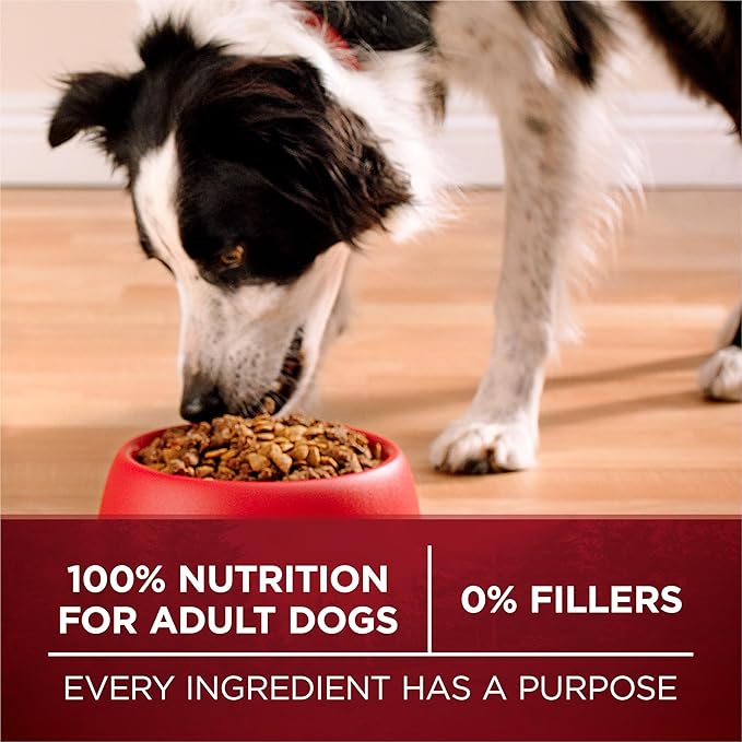 Purina ONE True Instinct High Protein Dry Dog Food Formula with Real Chicken and Duck Natural with Added Vitamins and Minerals Dog Food - 27.5 lb. Bag