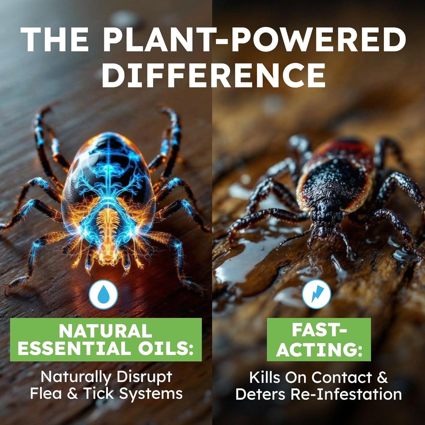 BugMD Natural Flea and Tick Spray for Dogs, Cats & Home | Plant-Based Flea Treatment & Tick Prevention with Essential Oils