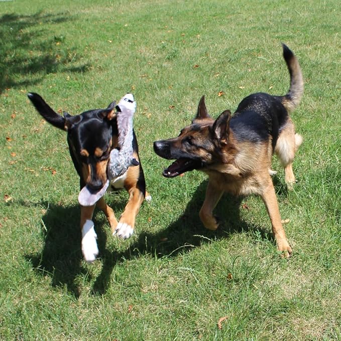 Jalousie 5 Pack Dog Squeaky Toys Three no Stuffing Toy and Two Plush with Stuffing for Small Medium Large Dog Pets (5 Pack)