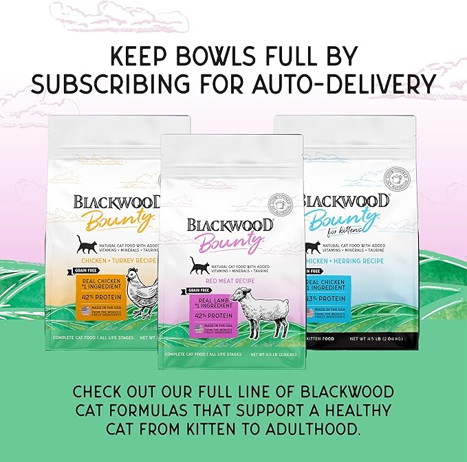 Blackwood Bounty Dry Cat Food, Red Meat Recipe for All Life Stages, 4.5 Pound Bag, High Protein, Grain Free