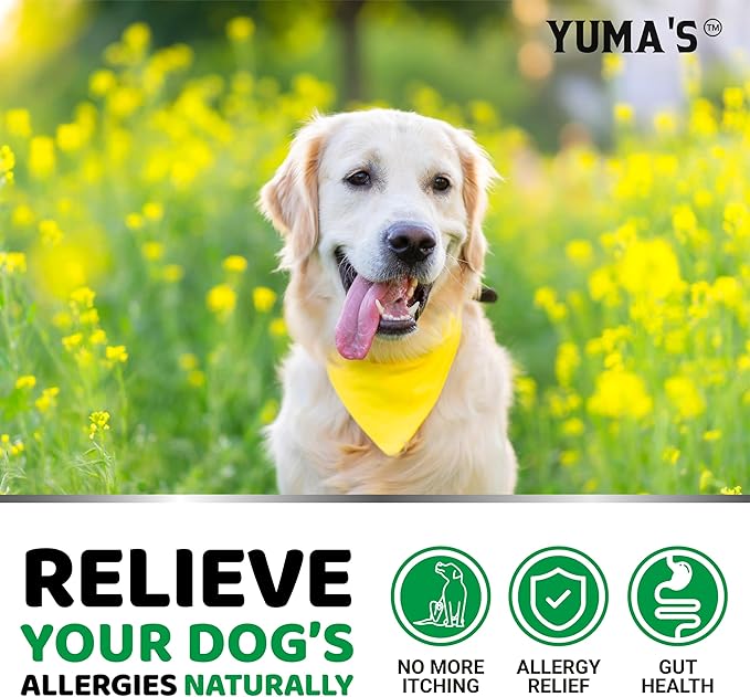 Dog Allergy Relief Chews - 240 Immune Treats - Dog Itching Skin Relief Treatment Pills - Anti-Itch - Itchy and Paw Licking - Omega 3 Fish Oil for Dogs Allergies - Dry Skin & Coat Supplement Vitamins