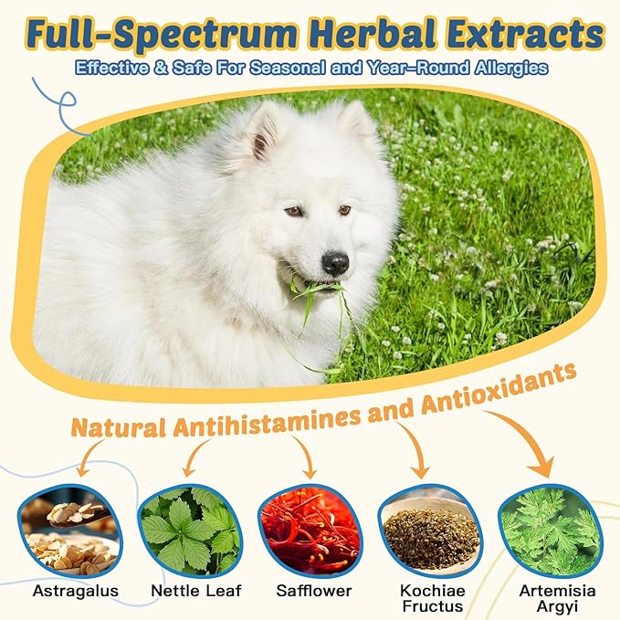 Dog Allergy Relief Chews, with Probiotics, Omega 3, Colostrum - Dog Itching Skin & Ears Relief, Herbal Skin & Coat Supplement, Gut & Immune Support, Hot Spot Treatment, Anti Seasonal Allergies