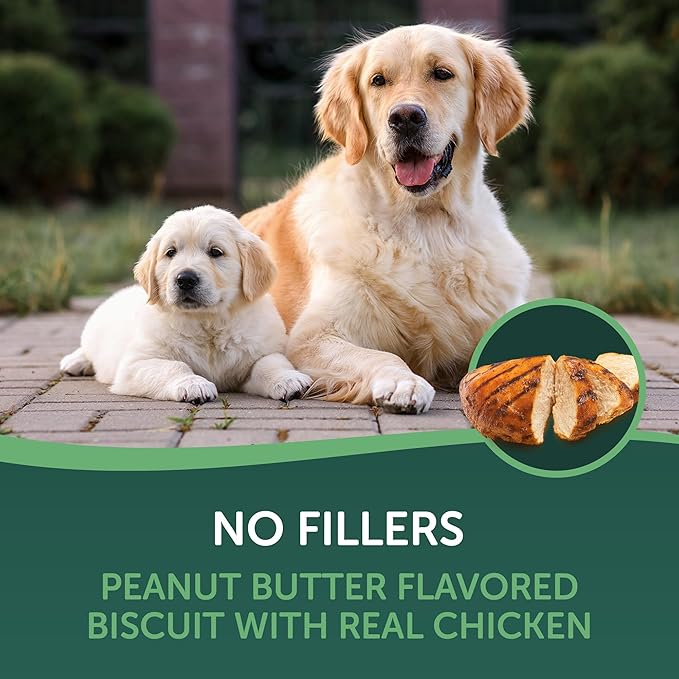 Chicken & Peanut Butter Flavored Dog Biscuits, 16oz