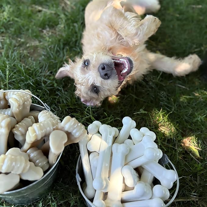 Nylabone Original Bone Power Chew Toy for Dogs, Durable & Tough Dog Toys for Aggressive Chewers, Chicken Flavor, Medium - Up to 35 lbs, 1 Count