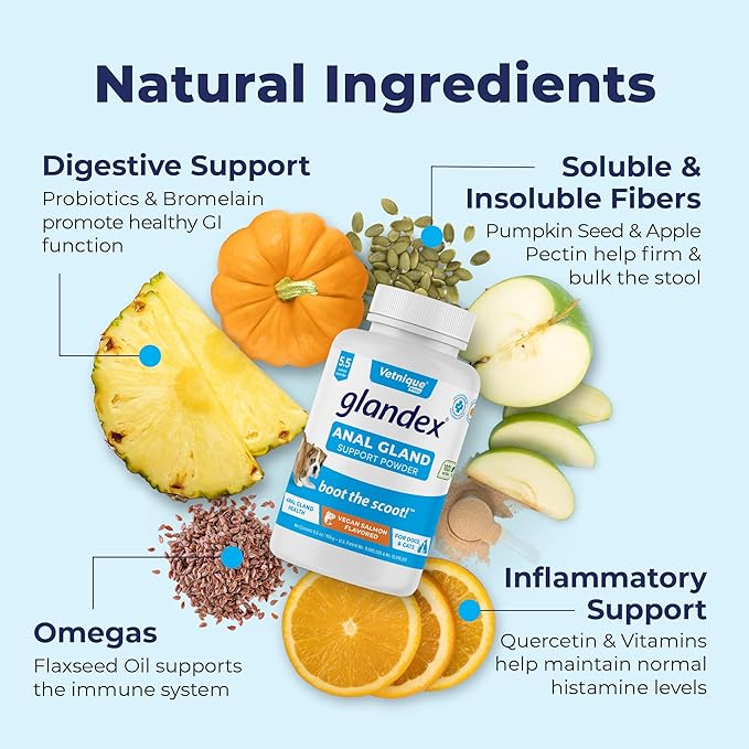 Vetnique Glandex Dog Fiber Supplement Powder for Anal Glands with Pumpkin, Digestive Enzymes & Probiotics - Vet Recommended (Regular or Advanced Strength) - Boot The Scoot (5.5 oz, Vegan Salmon)