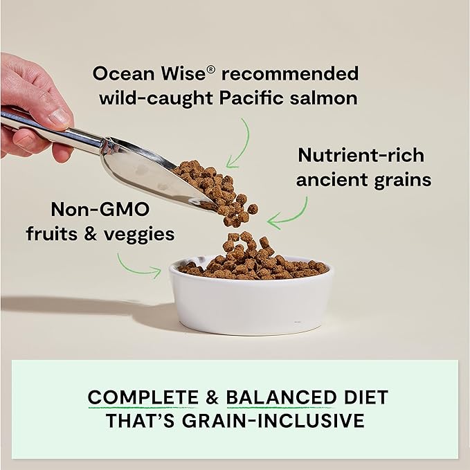 Open Farm, Ancient Grains Dry Dog Food, Protein-Rich & Nutrient Dense, 90% Animal Protein Mixed with Non-GMO Fruits, Veggies and Superfoods, Wild Caugh Salmon Recipe, 11lb Bag