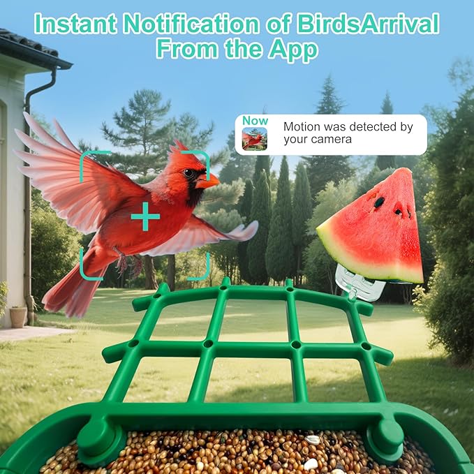 Smart Bird Feeder with Camera,AI Identify Birds Species,Auto Record 2K Birds Video in Backyard Garden,Live View,Instant Notifications，Solar Powered Charging,Ideal Gift for Family and Bird Lovers