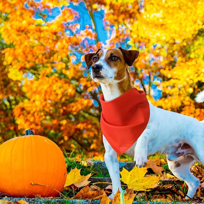 48 Pcs Fall Dog Bandanas Bulk Sublimation Blank Bandanas for Dogs Heat Transfer Triangle Bibs DIY Scarf for Small Medium Large Puppy Pets Halloween Christmas Costume(Red Green Orange Brown)