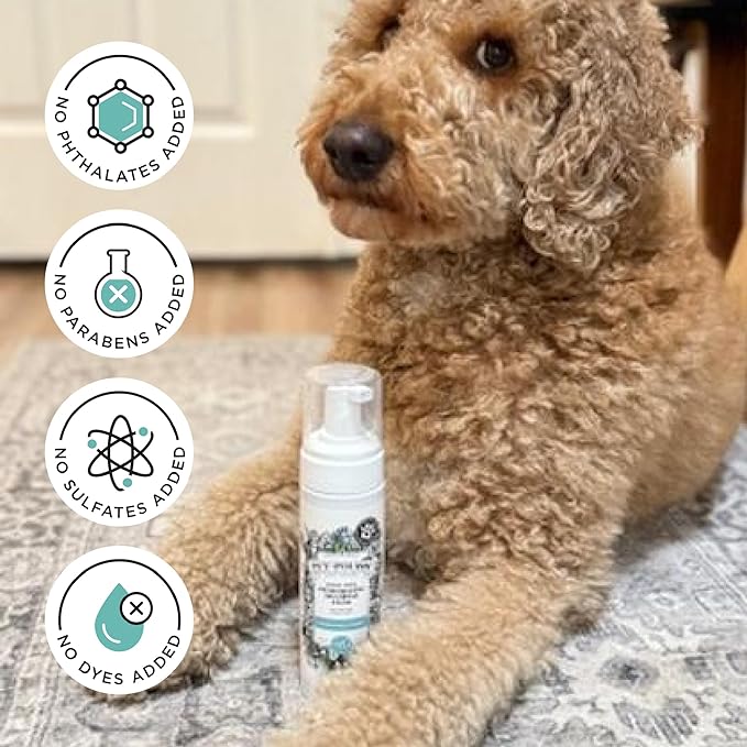 Poo-Pourri Rinse-Free Deodorizing Dry Shampoo for Dogs & Cats – Moisturizing Skin & Coat Soothing Formula - Plant Based Ingredients – Pineapple, Jasmine & Pear – No Rinse Foam Shampoo for Pet Odor
