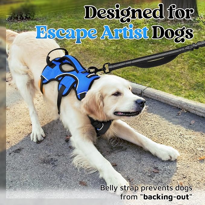 rabbitgoo Escape Proof Dog Harness, Soft Padded Full Body Pet Harness, Reflective Adjustable No Pull Vest with Lift Handle and Leash Clip for Large Dogs Walking Hiking Training, M, Blue