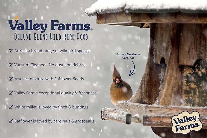 Valley Farms Deluxe Blend (4 LB) Wild Bird Food for Outside Feeders with Black Oil Sunflower Seed, Safflower Seed for Birds - Select Birdseed