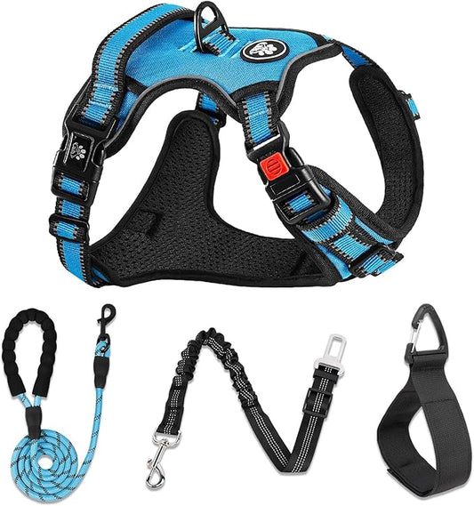 NESTROAD No Pull Dog Vest Harness with Leash, Adjustable Reflective Oxford Pet Harness with Easy Control Handle for Small Dogs, Blue