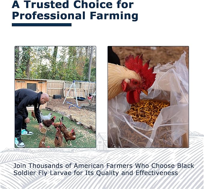 Nutrient-Rich Chicken Feed - 10LB Dried Black Soldier Fly Larvae, 100% Natural, 85X More Calcium Than Mealworms, Ideal for Molting & Laying Hens, Ducks, and Wild Birds, Reptiles and Hedgehog