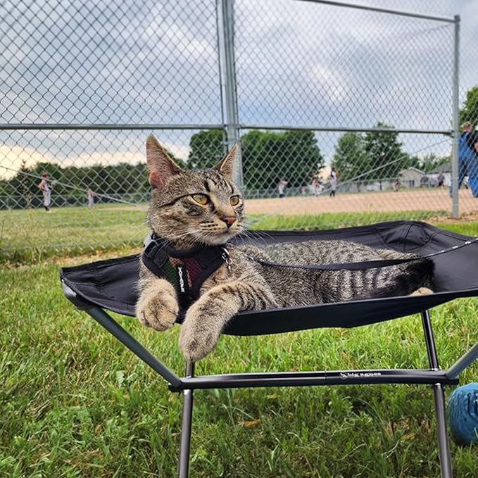 Voyager Step-in Lock Adjustable Cat Harness w. Cat Leash Combo Set with Neoprene Handle 5ft - Supports Small, Medium and Large Breed Cats by Best Pet Supplies - Army/Black Trim, XS