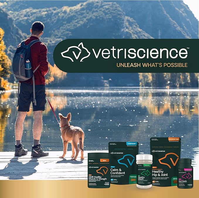 VetriScience Dental Care Powder, Perio Support Clinically Tested Dental Supplement for Small, Medium and Large Breed Dogs, Freshen Breath, Control Plaque and Tartar, Oral Health, 4.2 oz