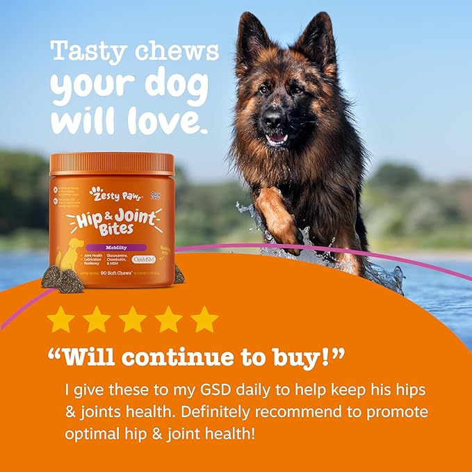 Zesty Paws Hip and Joint Supplement for Dogs - Glucosamine with Chondroitin, MSM, Vitamins C and E Dog Joint Relief - Mobility Bites Duck – 90 Count