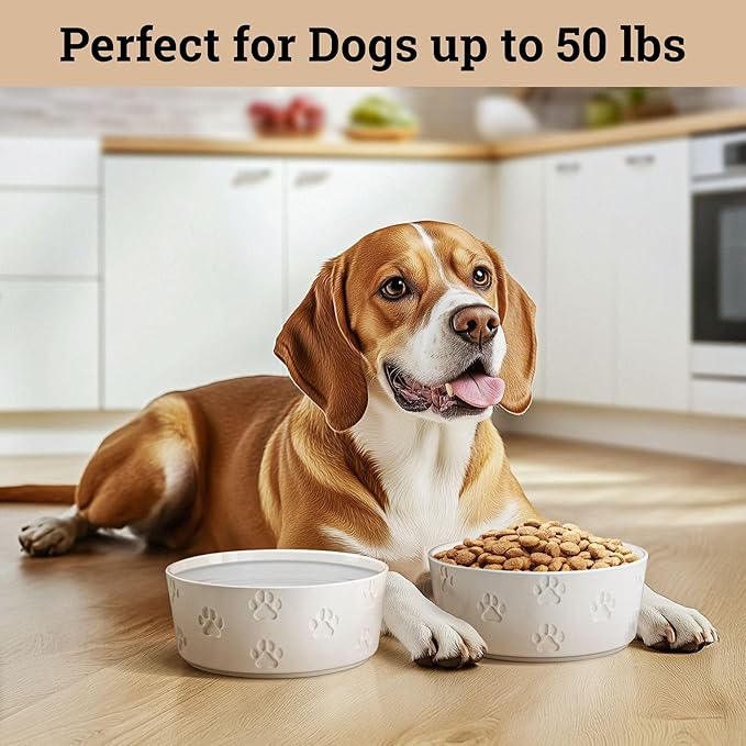 Ceramic Dog Bowl Set of 2 with Anti-Skid Base - 6.5" Wide x 2.5" Tall Ceramic Dog Bowls Medium Sized Dogs - 3.8 Cup Capacity Food and Water Bowls for Dogs - Rubber Bottom Pet Bowl Set of 2 Medium Size