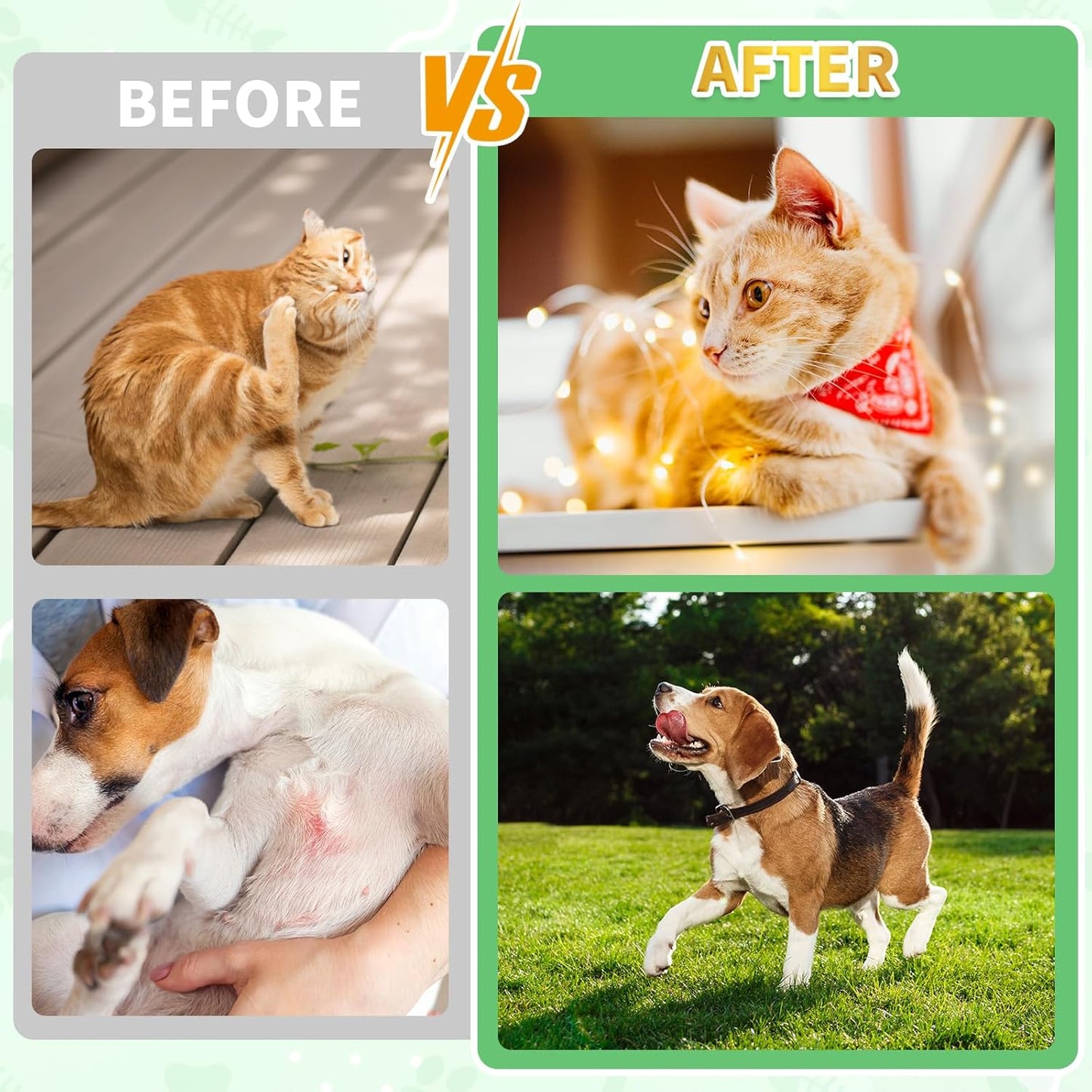 Oral Flea & Tick Prevention for Dogs and Cats, Natural Flea and Tick Defense Drops with Multivitamin for Pets - Supports Healthy Skin & Coat - Flea Herbal Drops All Breeds and Sizes - Bacon Flavor