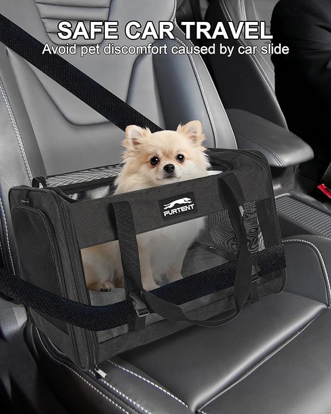 Soft-Sided Large Cat Carrier for 2 Cats, Spacious Foldable Pet Travel Carrier for Large Cats up to 25 Lbs, Double Cat Bag with Shoulder Strap, 20x13x13 Inch, Fits Maine Coon and Small Dogs, Black