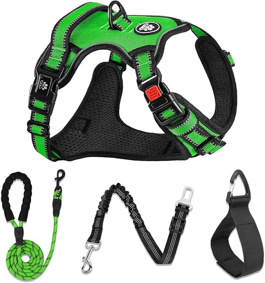 NESTROAD No Pull Dog Harness,Adjustable Oxford Dog Vest Harness with Leash,Reflective No-Choke Pet Harness with Easy Control Soft Handle for Small Dogs(Small,FluorescentGreen)