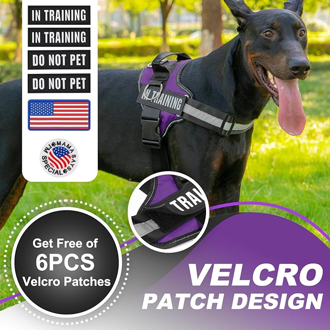 Essential Dog Harness with 3 Leash Clips - No-Pull, Adjustable, Comfortable Pet Vest Harness for Small to Large Dogs - Easy On, No Choke, Reflective, Padded Harness for Walking and Training