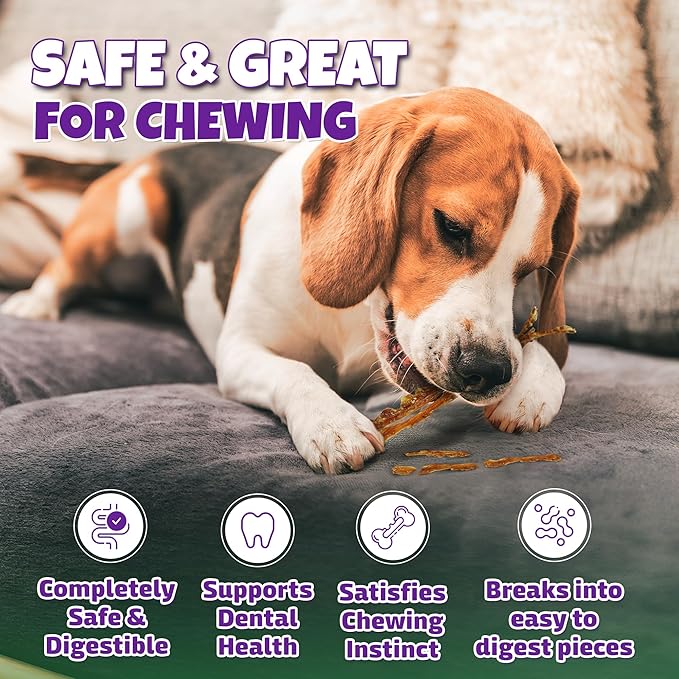 Turkey Tendons for Dogs Made in USA with 100% Turkey and No Glycerin, Healthy Jerky Dog Treats for Medium and Small Dogs, Human Grade Natural Chews, 6 oz Bag