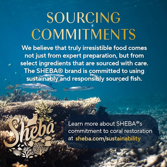 Sheba Perfect Portions Wet Cat Food Pate with Sustainable Salmon, Signature Seafood Entree, and Tender Whitefish and Tuna Entree Variety Pack, 2.6 oz. Twin Pack Trays (24 Count, 48 Servings)
