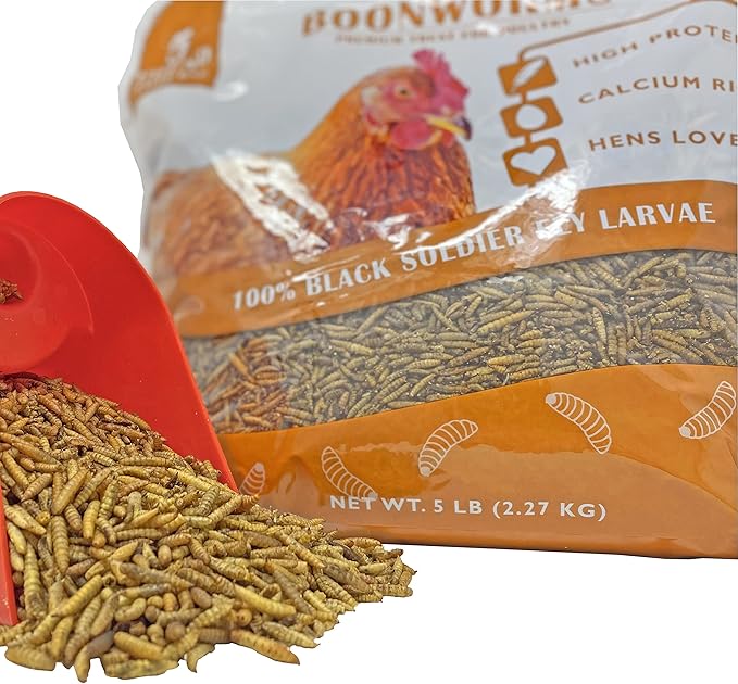 Pecking Order Boonworms 100% Black Soldier Fly Larvae - 5 LB