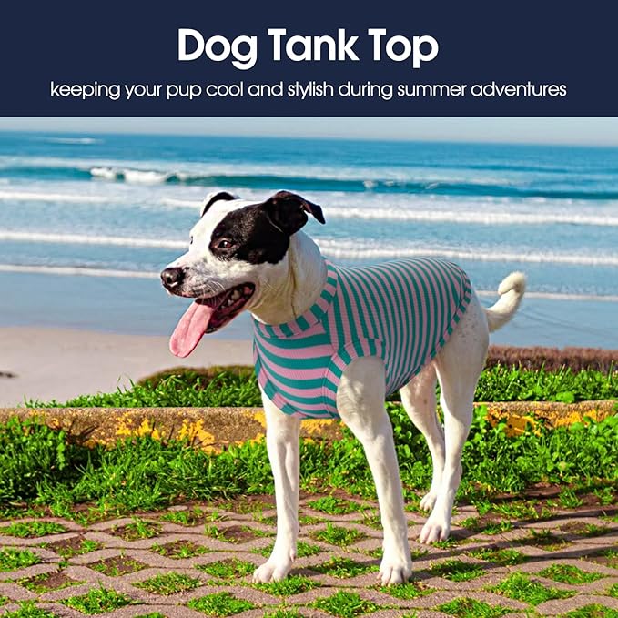 IECOii 2 Pack Dog T-Shirts for Small Dogs,Breathable & Lightweight Fabric for Hot Weather,Stretchy Pet Tank Top Sleeveless Vest for Summer Outdoor Sun Protection,Cat,Chihuahua Clothes,Pink+Stripes,M