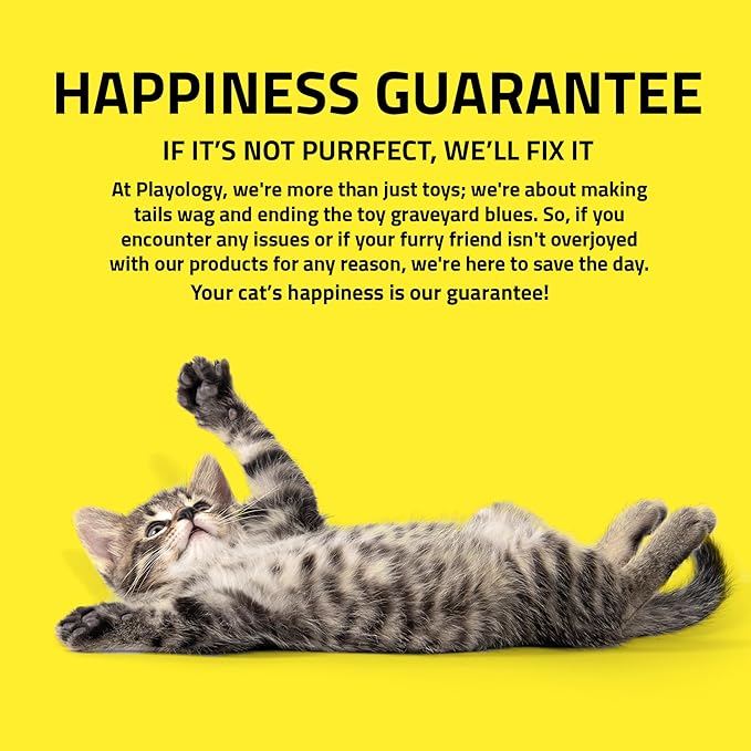 Playology Cat Toys | Interactive Toy Suction Cup Spring Bird Including 2 Replacement Birds Cat Toys for Indoor Cats | Toy Made from Non Toxic Materials