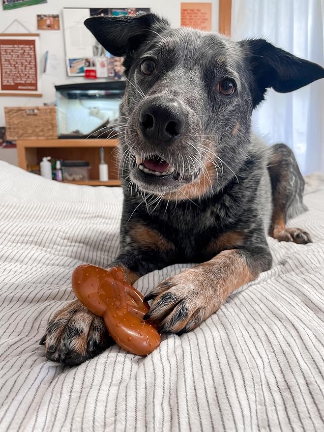 Nylabone Pretzel Power Chew Toy for Dogs, Dog Toys for Aggressive Chewers, Bacon & Peanut Butter Flavor, Small Dogs - Up to 25 Ibs, 1 Count