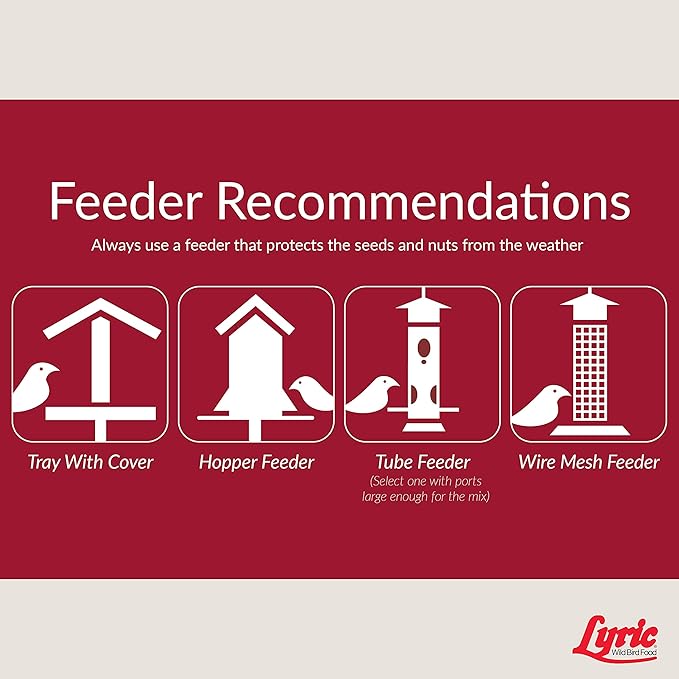 Lyric Fruit and Nut Wild Bird Seed - High Energy Wild Bird Food Mix - Attracts Woodpeckers, Chickadees & Other Songbirds - 10 lb. (pack of 2 - 5 lb bags)