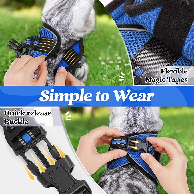 rabbitgoo Cat Harness and Leash Set for Walking Escape Proof, Adjustable Soft Kittens Vest with Reflective Strip for Cats, Comfortable Outdoor Vest, Blue, S